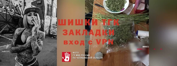 ГАЛЛЮЦИНОГЕННЫЕ ГРИБЫ Алзамай