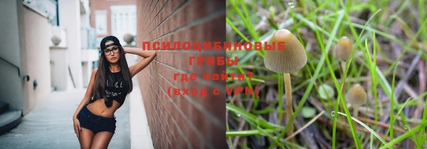 мяу мяу кристалл Алексин
