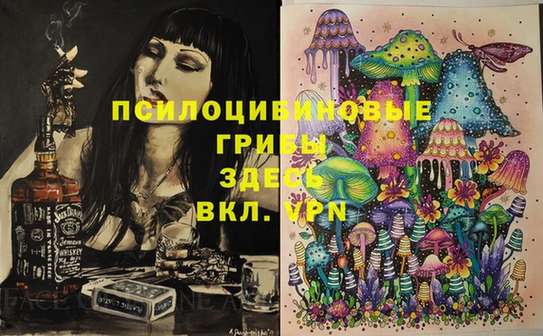 твердый Алексеевка