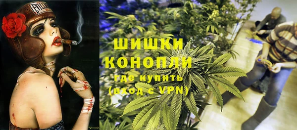 ГАЛЛЮЦИНОГЕННЫЕ ГРИБЫ Алзамай