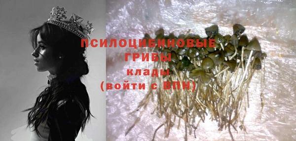 ГАЛЛЮЦИНОГЕННЫЕ ГРИБЫ Алзамай