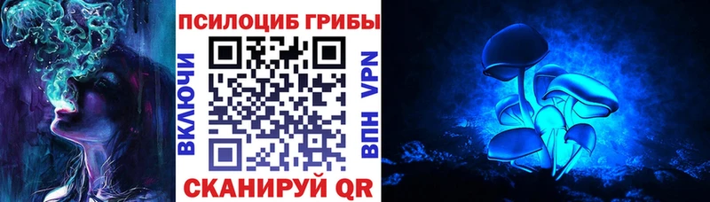 цены наркотик  Лениногорск  Псилоцибиновые грибы Magic Shrooms 