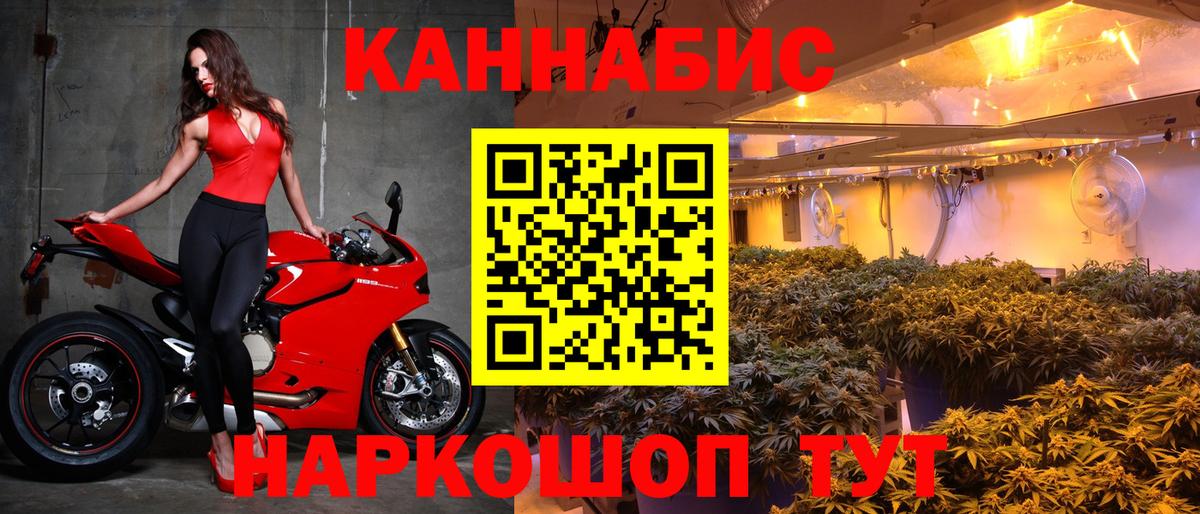 Бошки Шишки план Лениногорск
